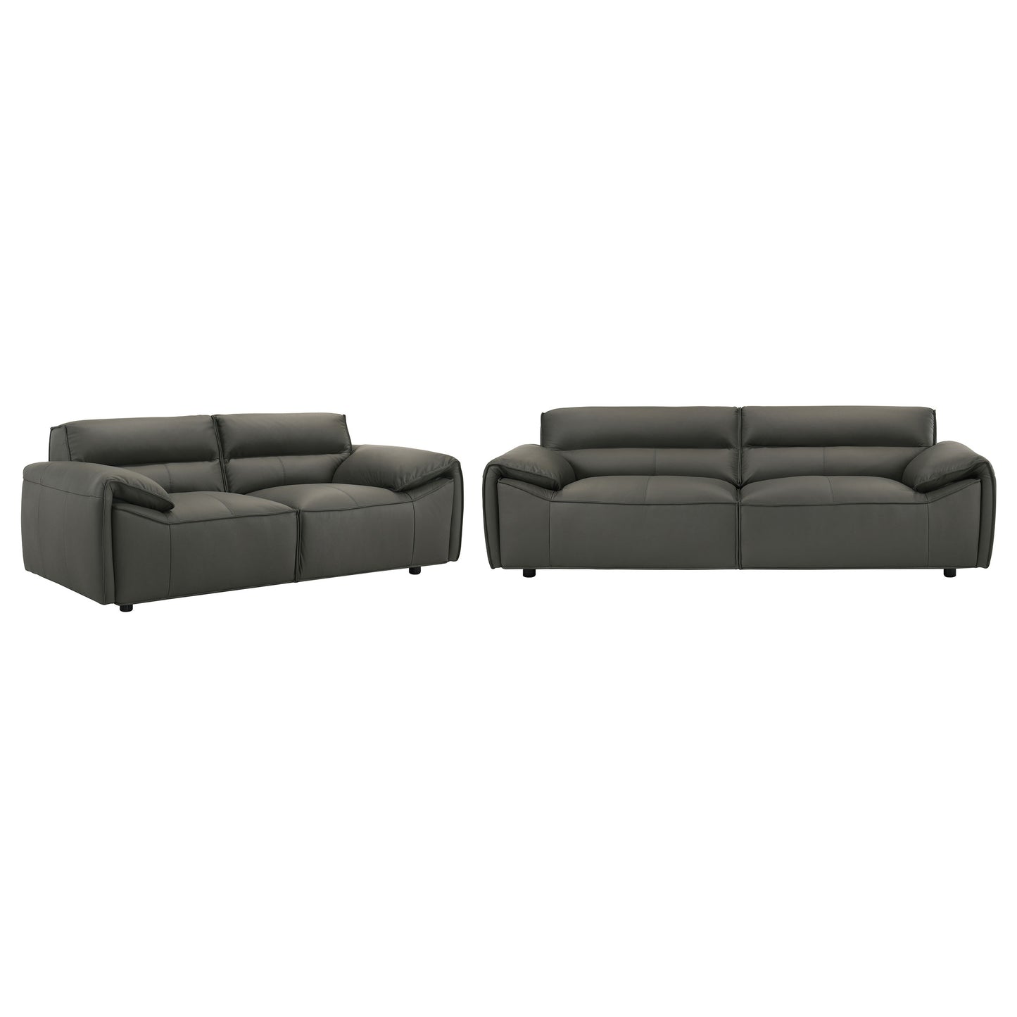 Buxton 2-piece Leather Upholstered Sofa Set Graphite