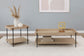 Fallon 2-piece Rectangular Coffee and End Table Set Natural