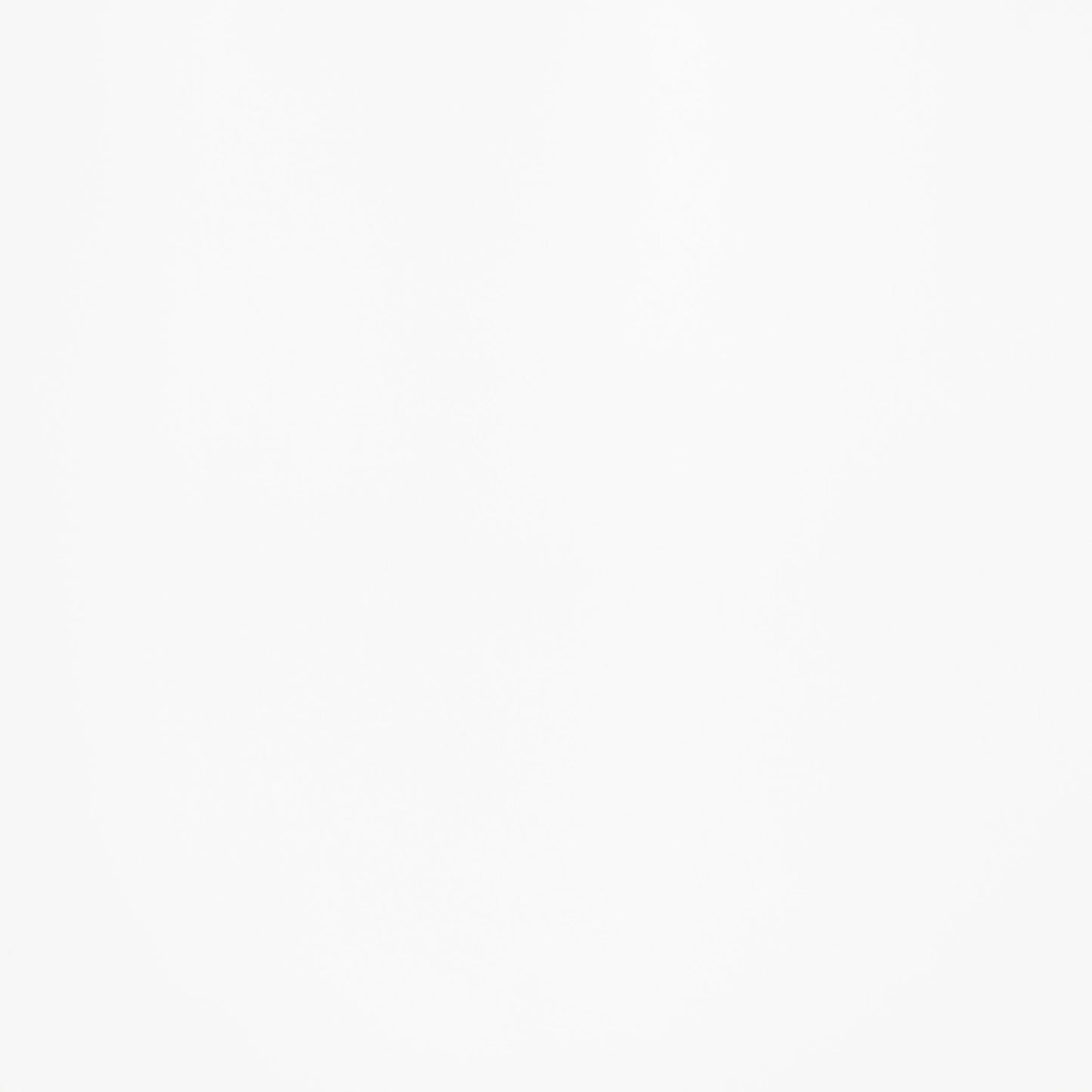 Andrews 66-inch Rectangular Dining Table Light Ash and White