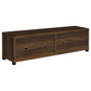 Sachin Rectangular TV Console with Glass Doors